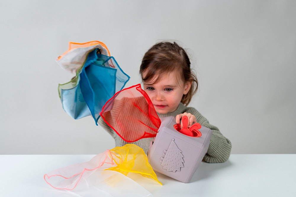 Boîte à mouchoirs pop-up ( Retour juillet 2026)