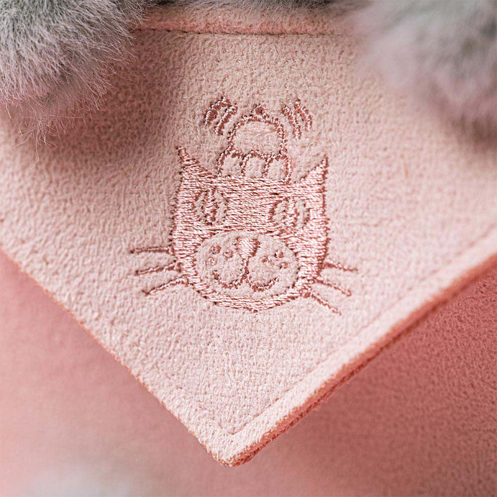 Peluche - Koala avec message