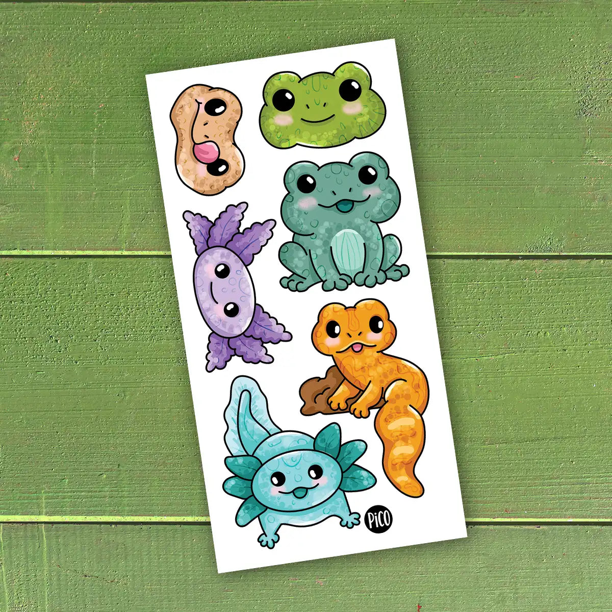 425-L_axolotl-et-la-grenouille-1200x1200.webp