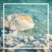 Bruine d'ambiance - Cactus et sel de mer