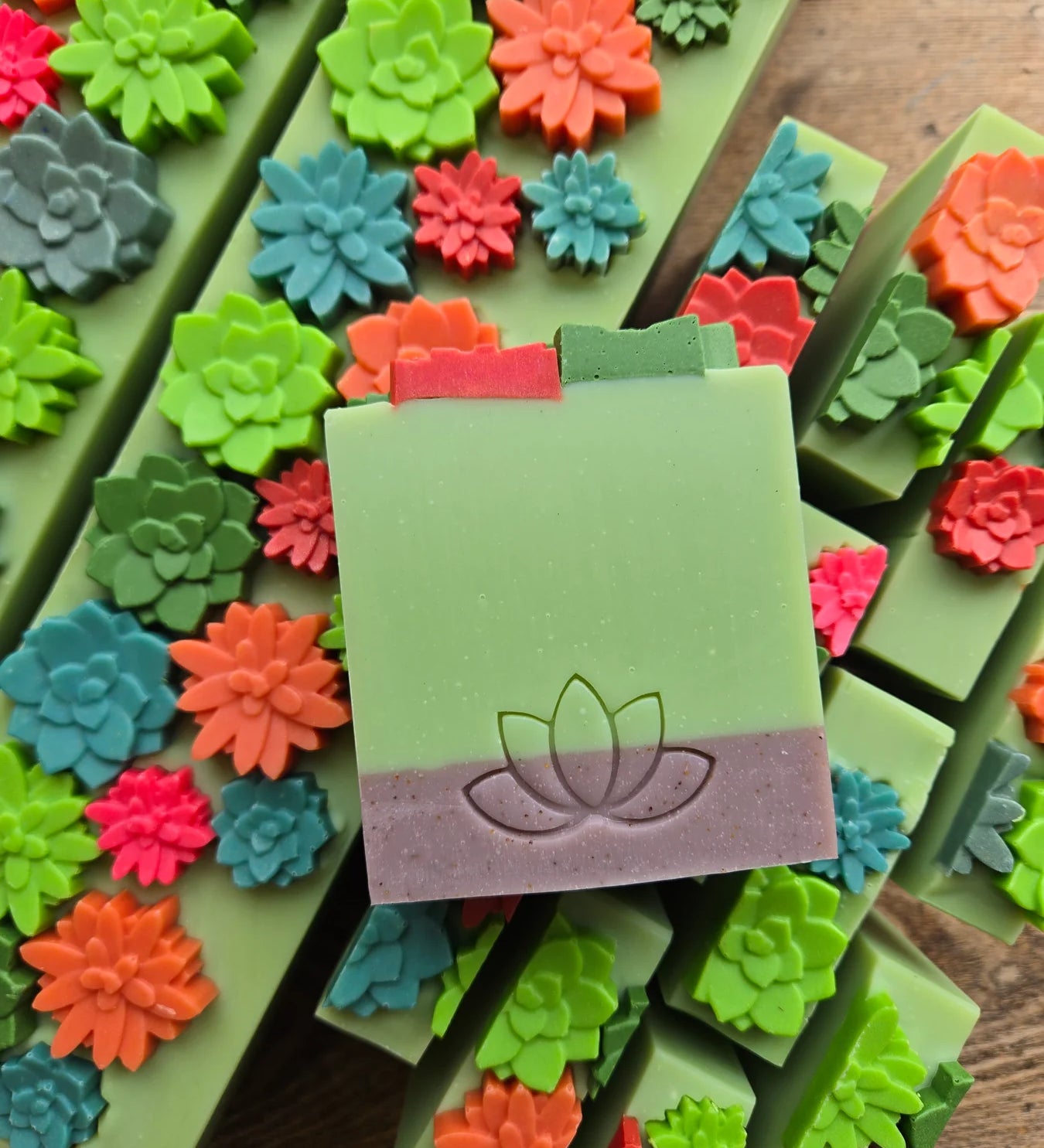 Fleurdecactus2_1800x1800_07750e24-5e13-442e-a4f8-20a44ccc0e13.webp