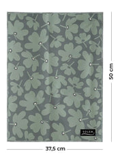 Linge vitres et miroirs Mousse de tilleul (lot de 2)