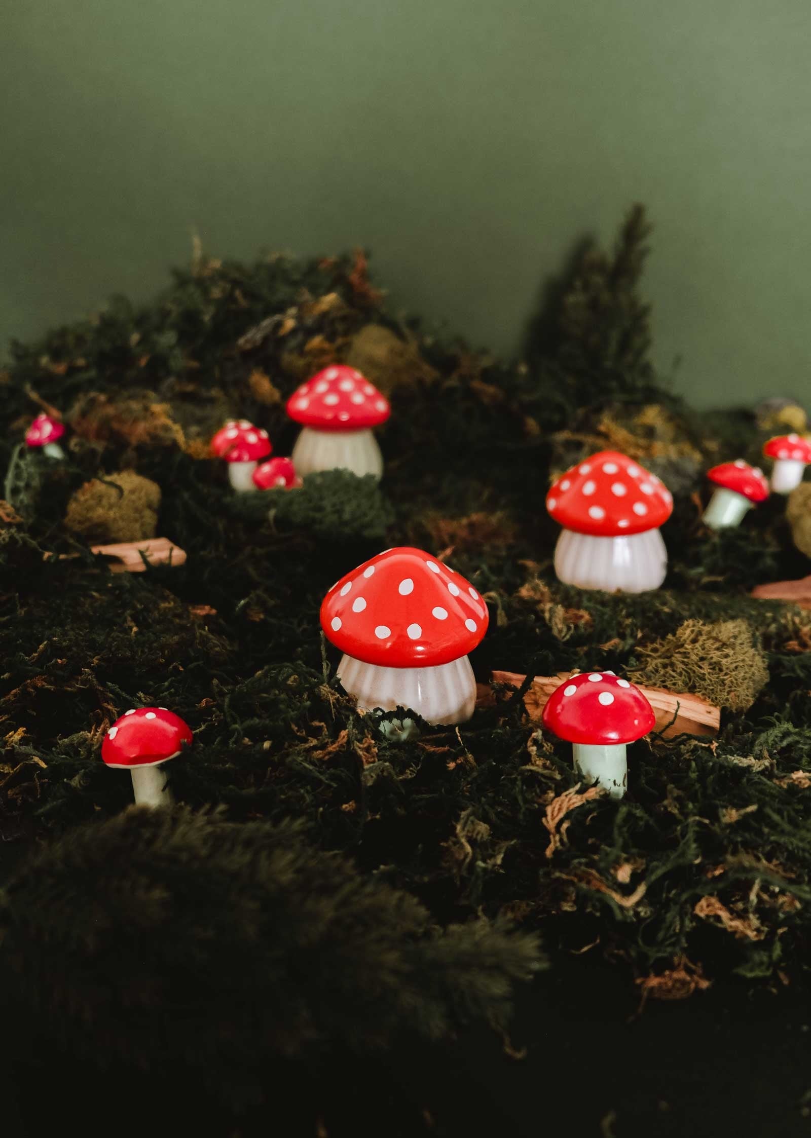 La Petite Bougie Champignon