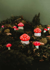 La Petite Bougie Champignon
