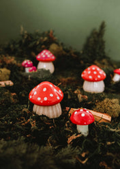 La Petite Bougie Champignon