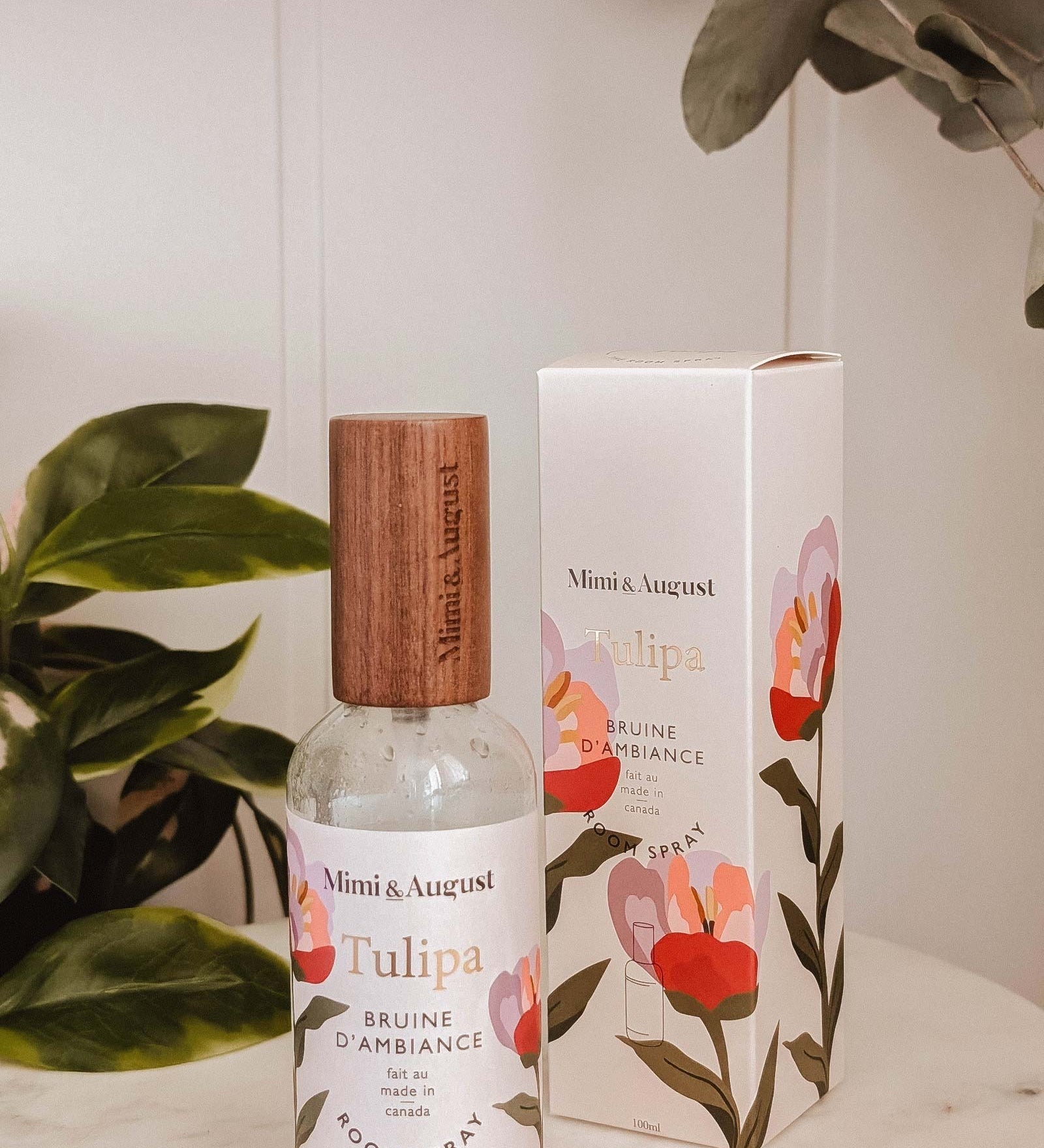 bruinetulipa.jpg