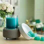 Diffuseur pour pastilles de cire 2-1
