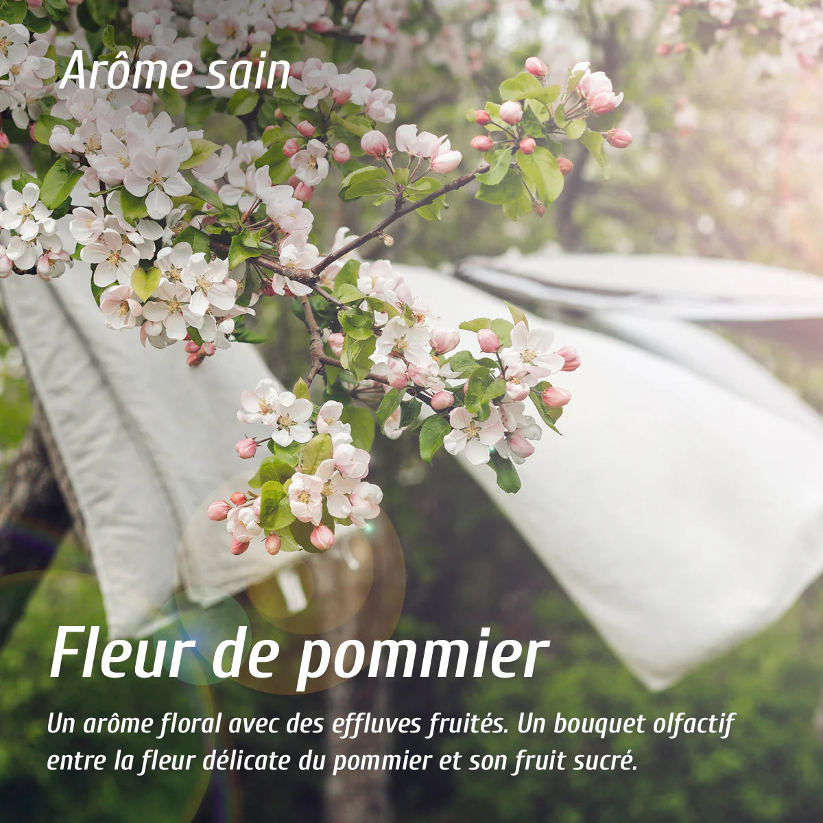 Diffuseur d'arôme - Fleur de pommier
