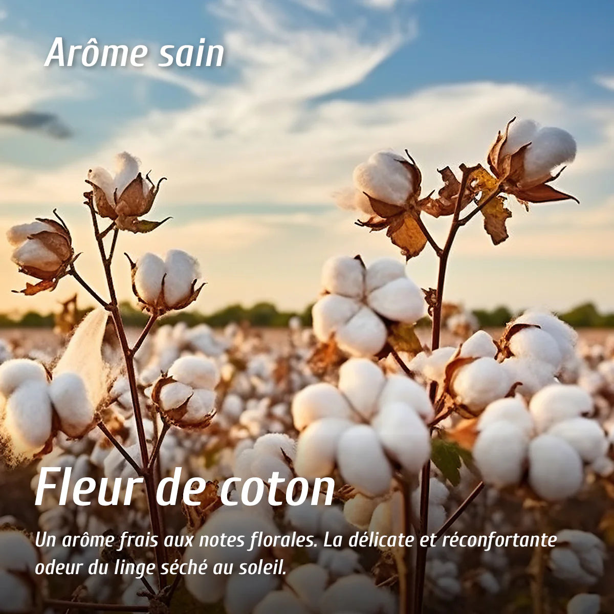 Diffuseur d'arôme - Fleur de coton