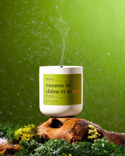 Chandelle  - Forêt de conifères