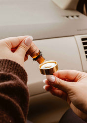 Diffuseur pour voiture - Champignon