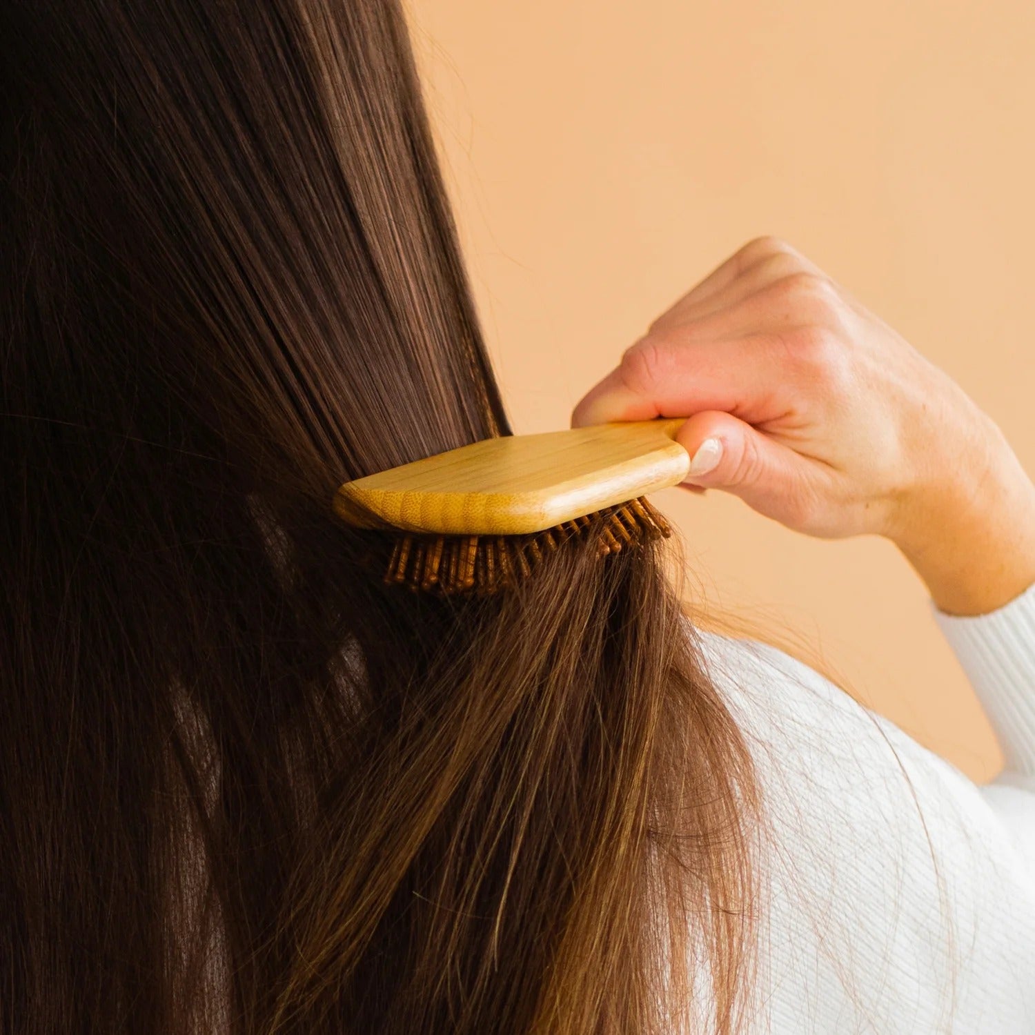 petitebrosse2.jpg
