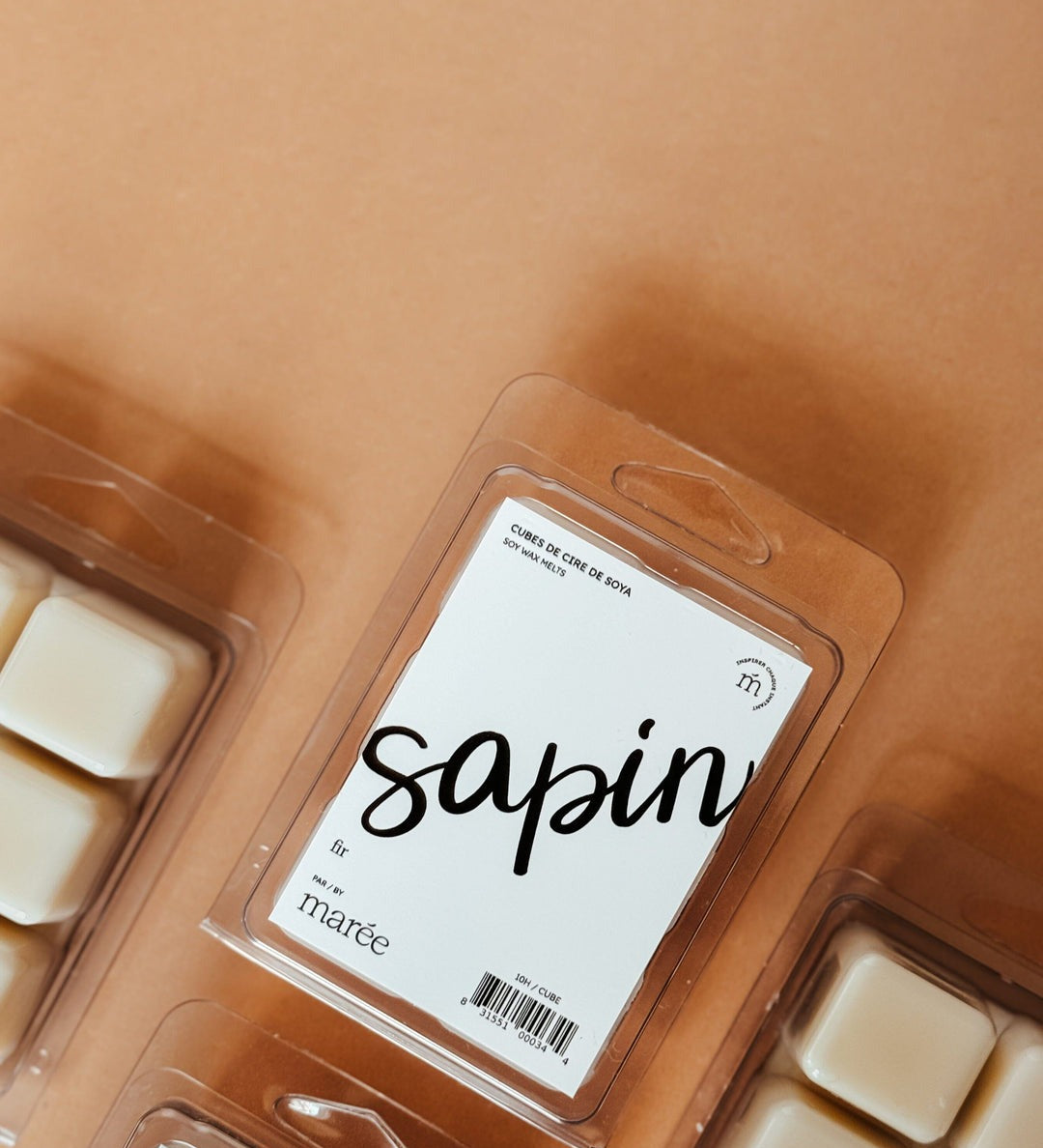 sapin_42f6809a-5a7c-4fe5-a6fa-6f5f0a3933a6.jpg