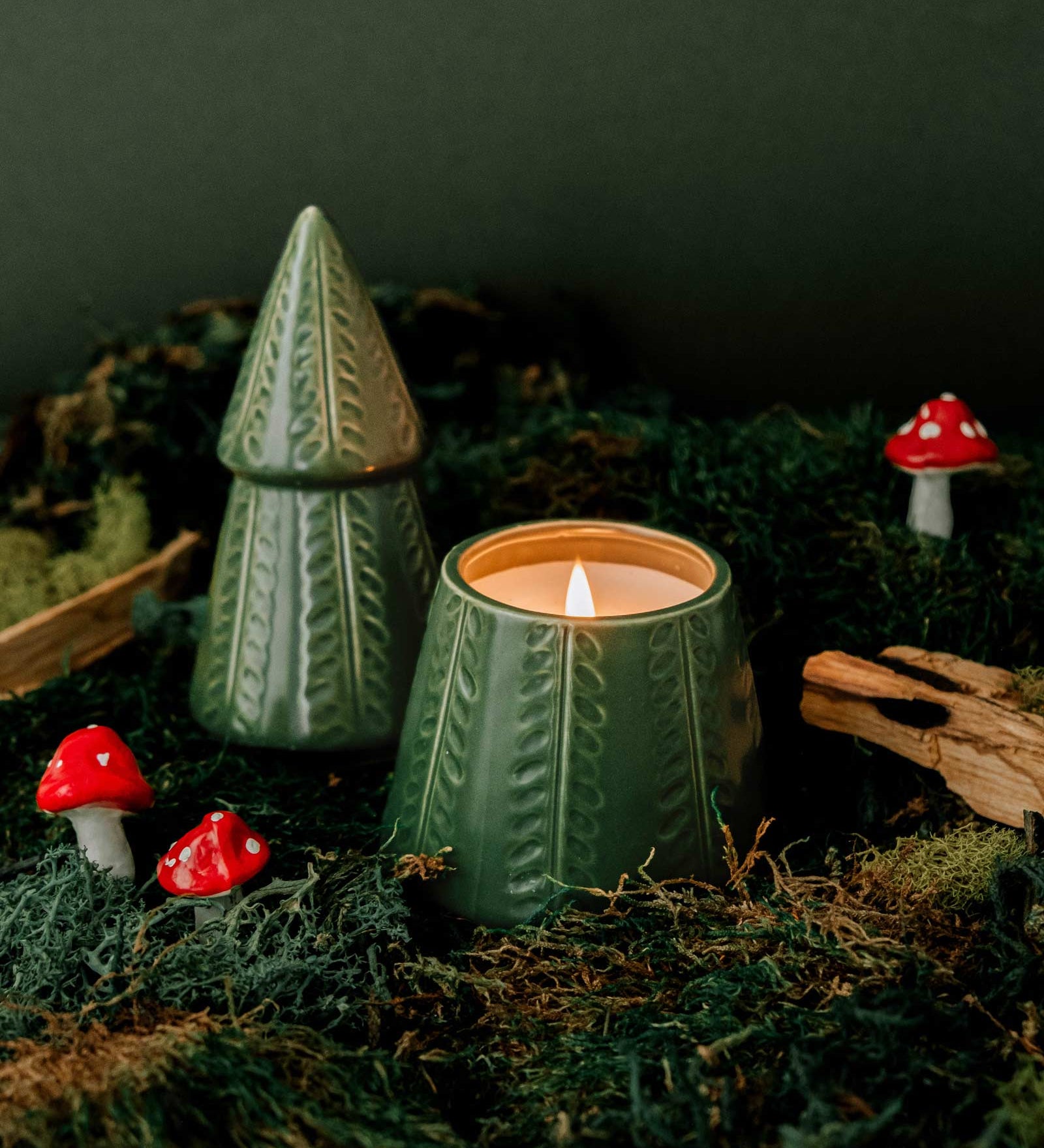 sapin_f3dfc286-d5eb-46a6-b452-b41434251a56.jpg