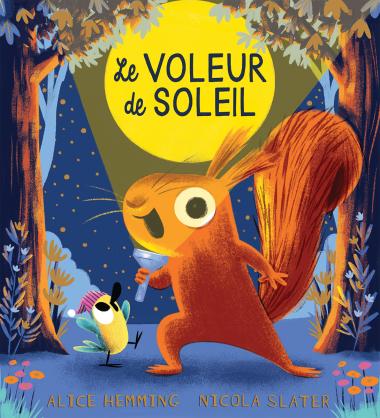 Livre -  Le voleur de soleil